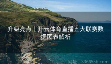 升级亮点｜开云体育直播五大联赛数据图表解析