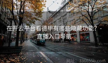 在开云平台看德甲有哪些隐藏功能？-直播入口导航