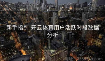 新手指引-开云体育用户活跃时段数据分析
