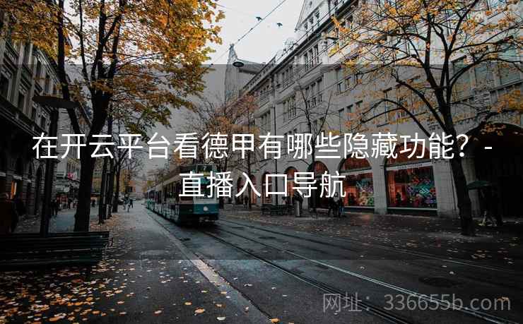 在开云平台看德甲有哪些隐藏功能？-直播入口导航