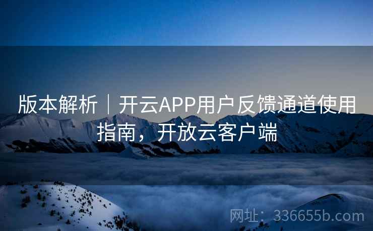 版本解析｜开云APP用户反馈通道使用指南，开放云客户端