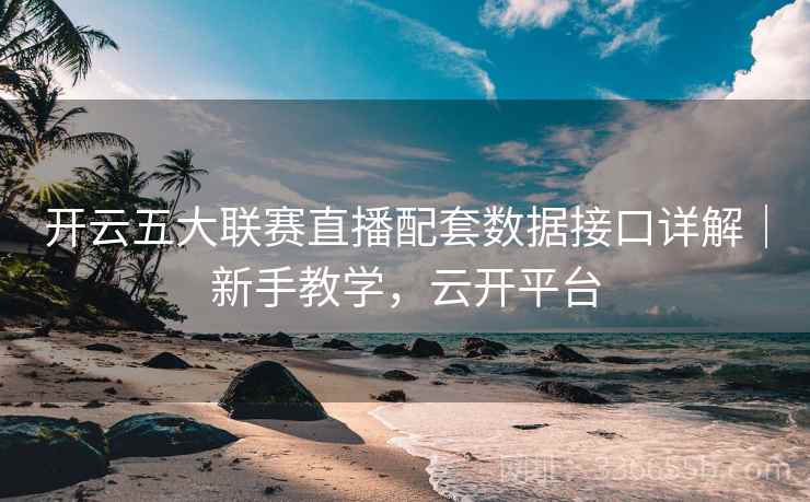 开云五大联赛直播配套数据接口详解｜新手教学，云开平台