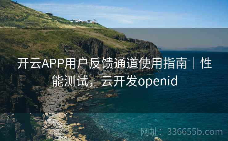 开云APP用户反馈通道使用指南｜性能测试，云开发openid