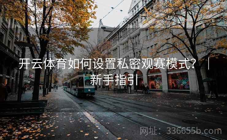 开云体育如何设置私密观赛模式?|新手指引 开云体育如何设置私密观赛模式?|新手指引